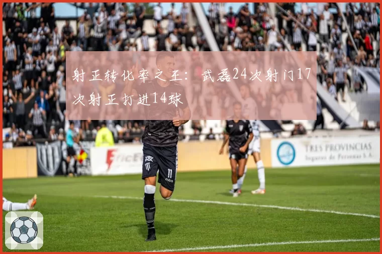 射正转化率之王：武磊24次射门17次射正打进14球